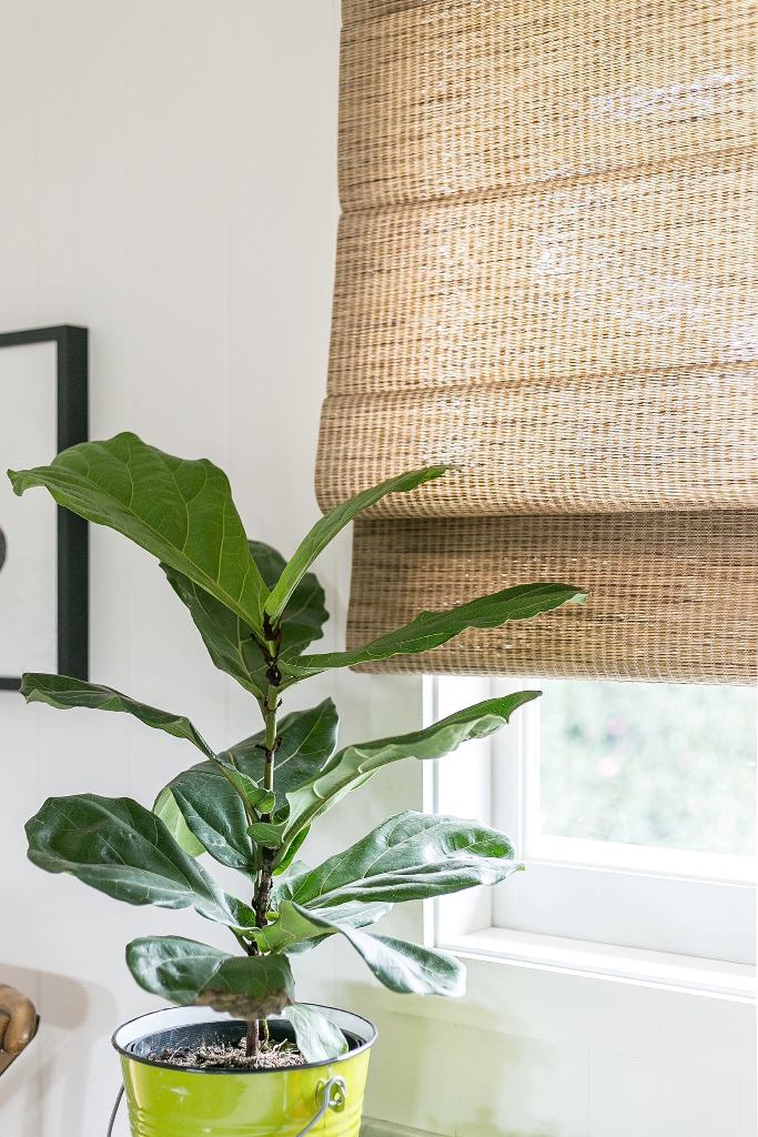 Bamboo Shades: Embrace Natural Elegance in Your Home